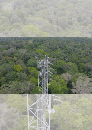 Guyane, l’appel de la forêt amazonienne